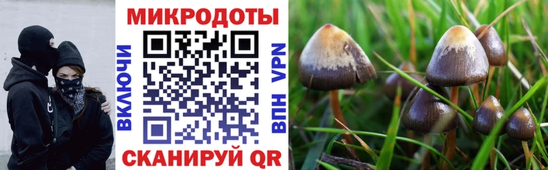 купить закладку  Пойковский  Псилоцибиновые грибы GOLDEN TEACHER 